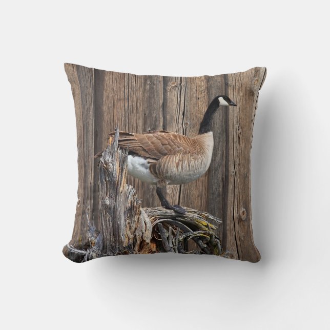 COUSSIN CANADA GOOSE (Recto)