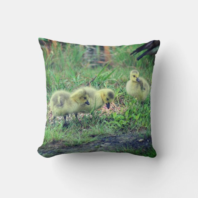 Coussin Canada Goose Baby Faune (Recto)