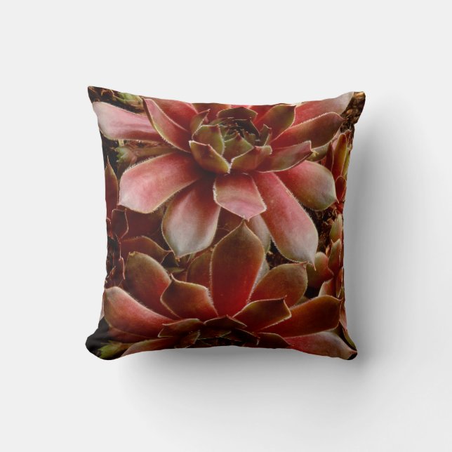 Coussin Canada, . Plante grasse (Recto)