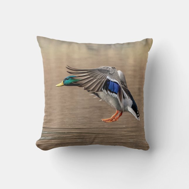 Coussin Canard de Mallard en vol (Recto)