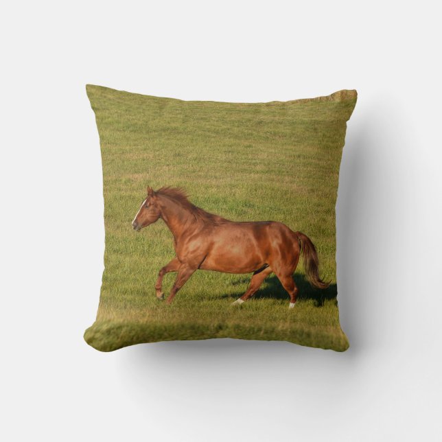 Coussin Cantonnement, Courir Chestnut Horse Equine Photo (Recto)