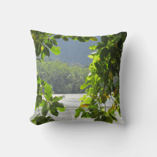 Coussin Capsule de tribulation du cap
