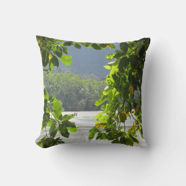 Coussin Capsule de tribulation du cap (Recto)