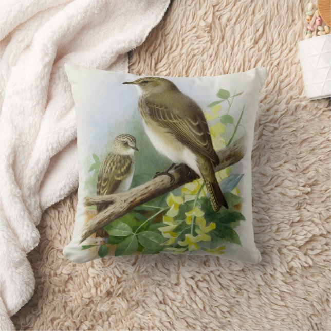 Coussin Capteurs de vol, Illustration artistique (Couverture)