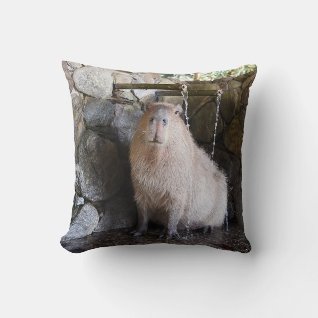 Coussin Capybara japonais de source thermale (Recto)