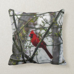 Coussin Cardinal