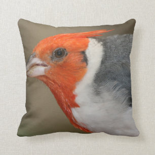 Coussin Cardinal crêté rouge