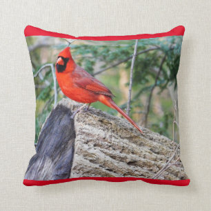 Coussin Cardinal Crimson