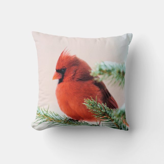 Coussin Cardinal dans le sapin épousseté par neige (Recto)