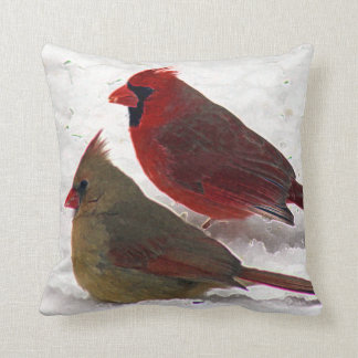 Coussin cardinal de paires
