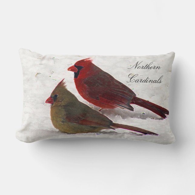 coussin cardinal de paires (Recto)