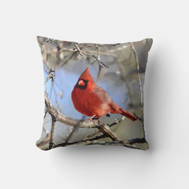 Coussin Cardinal du nord (Recto)