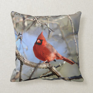 Coussin Cardinal du nord