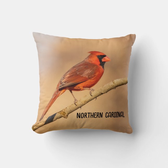 Coussin Cardinal du Nord (Recto)