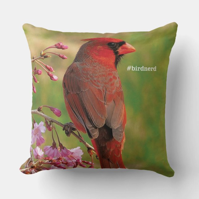 Coussin Cardinal du nord 2 (Recto)