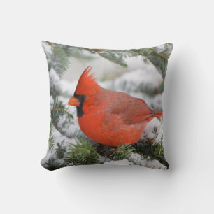 Coussin Cardinal du Nord à Balsam sapin en hiver