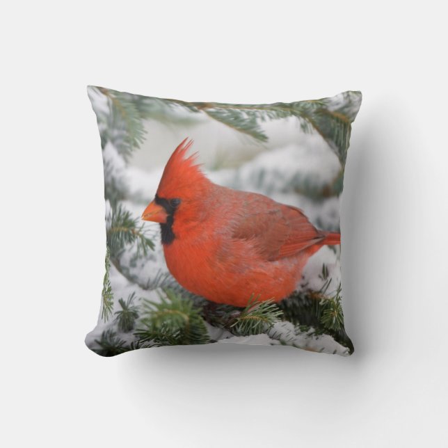 Coussin Cardinal du Nord à Balsam sapin en hiver (Recto)