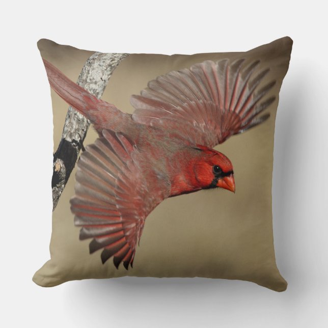 Coussin Cardinal du nord en vol (Recto)