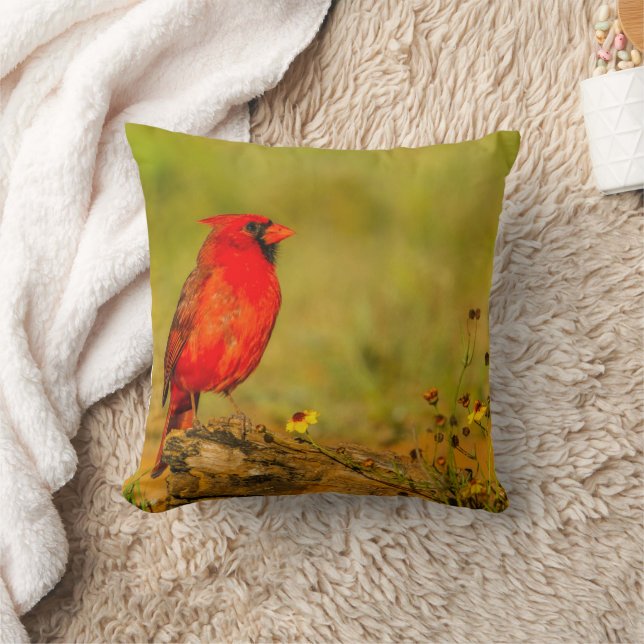 Coussin Cardinal masculin sur le journal (Couverture)