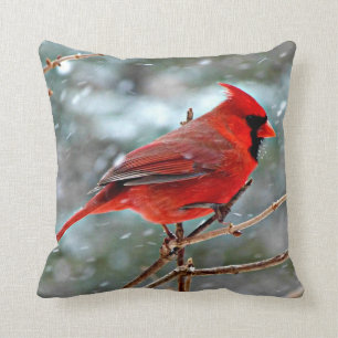 Coussin Cardinal rouge