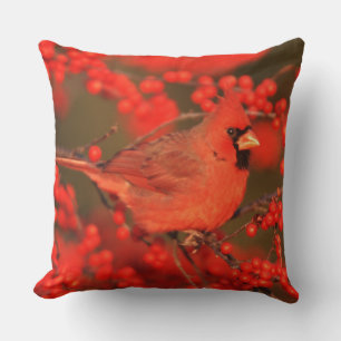 Coussin Cardinal rouge du Nord mâle, IL