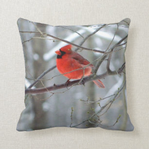 Coussin cardinal rouge gai