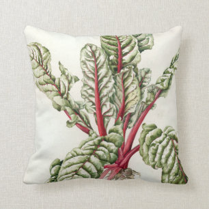 Coussin Cardon 1992 de rhubarbe