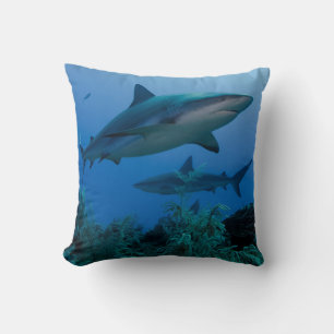 Coussin Caribbean Reef Shark