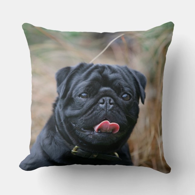 Coussin Carlin noir haletant tout en regardant (Recto)