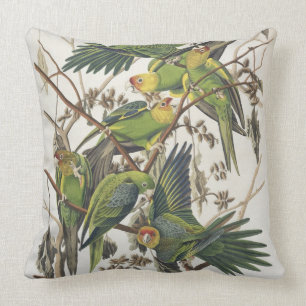 Coussin Carolina Parakeet, de 'Birds of America', 1829