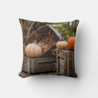 Caroline du Nord, Linville, citrouilles d'automne