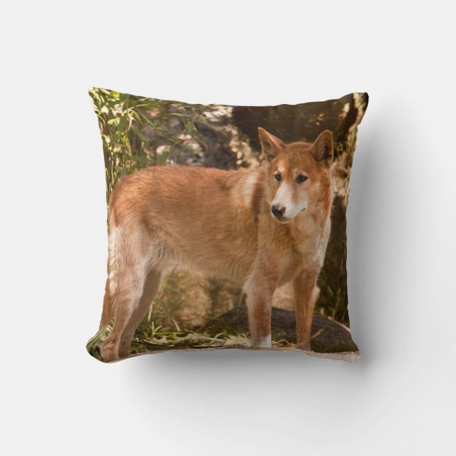 Coussin Carreau australien de dingo (Recto)