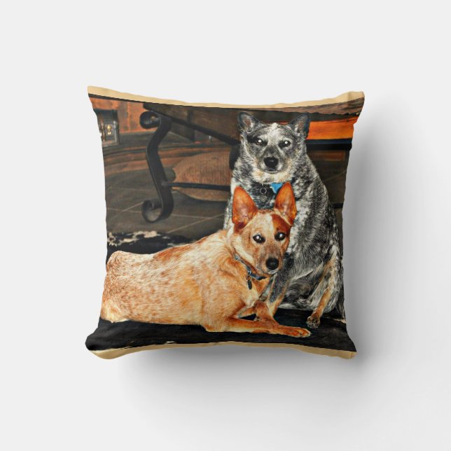 Coussin Carreau bleu/rouge de Heeler (Recto)