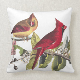 Coussin Carreau cardinal rouge d'Audubon de faune