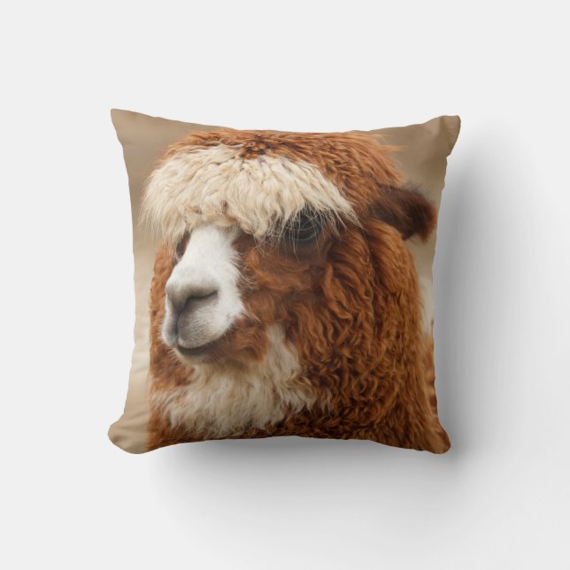 Coussin Carreau d'alpaga (Recto)