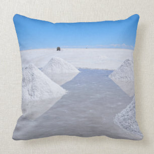 Coussin Carreau d'appartements de sel de Salar de Uyuni