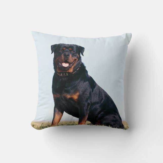 Coussin Carreau de carré de portrait de rottweiler (Recto)
