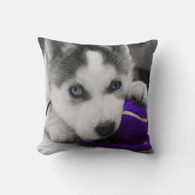 Coussin Carreau de chien (Recto)