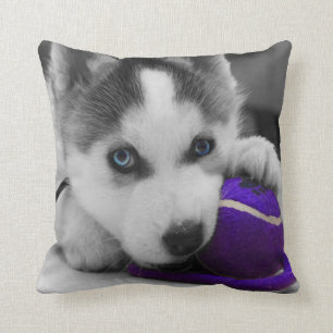 Coussin Carreau de chien