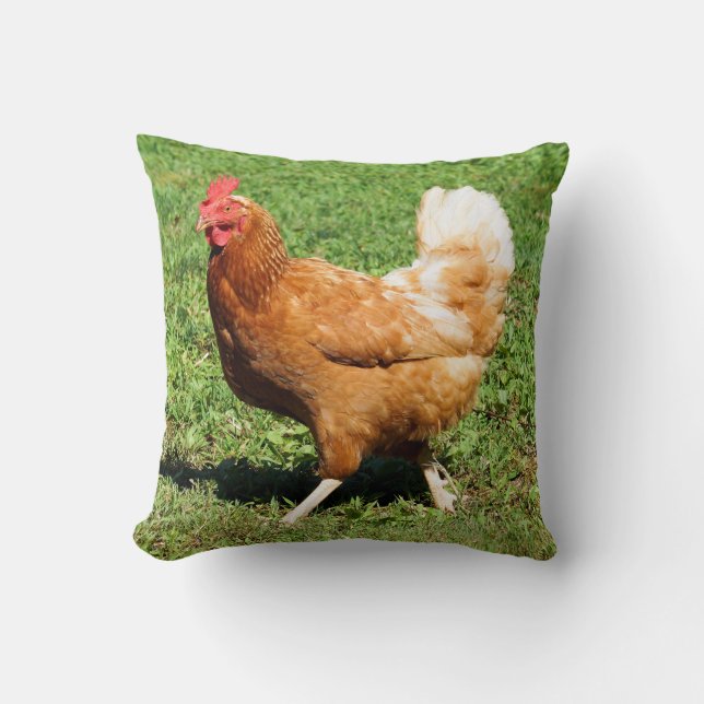 Coussin Carreau de coq (Recto)