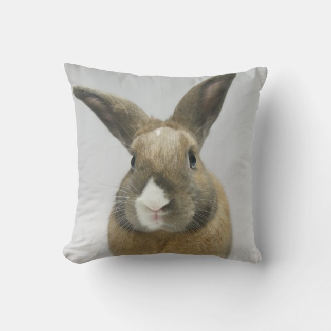 Coussin Carreau de lapin de MHRR Honeybadger (Recto)