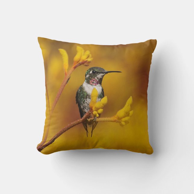 Coussin Carreau de lueur d'or (Recto)