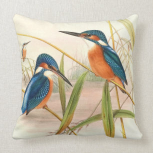 Coussin Carreau de martins-pêcheur de Gould