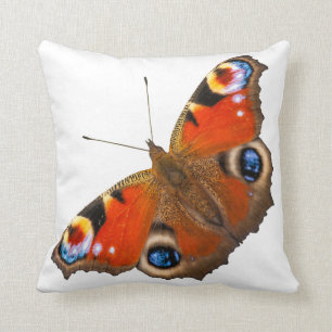 Coussin Carreau de papillon de paon