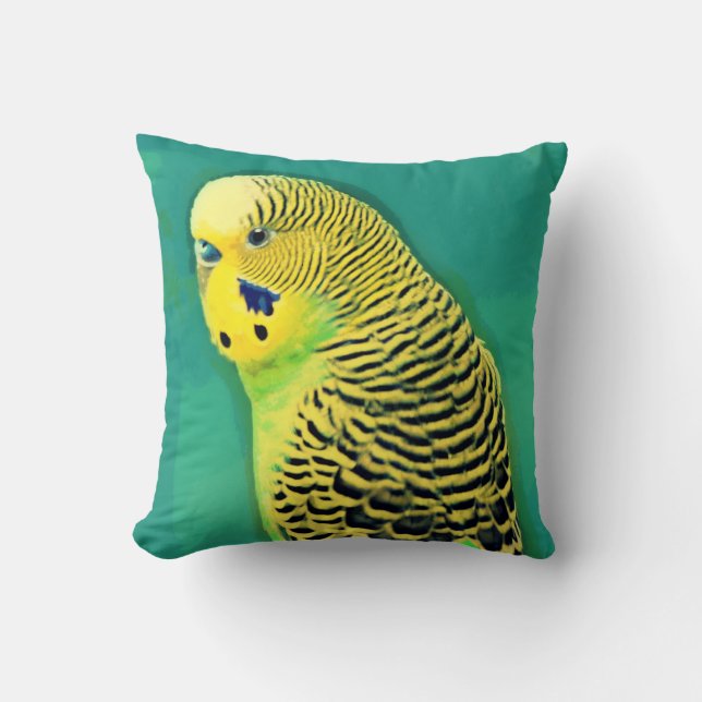 Coussin Carreau de perruche/perruche (Recto)