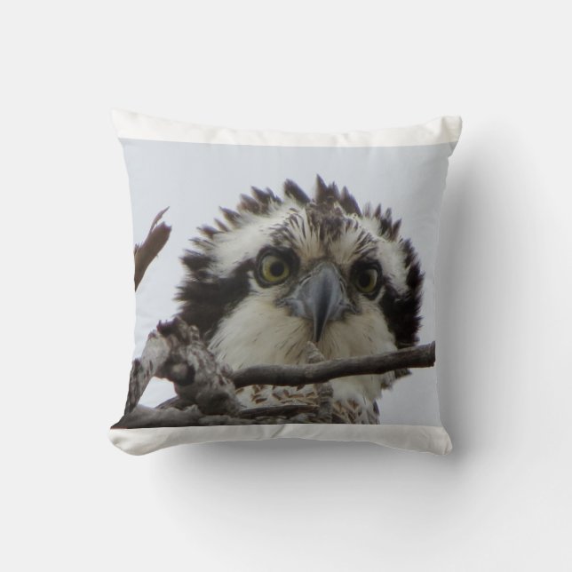Coussin Carreau de photo de balbuzard de l'Adirondacks (Recto)
