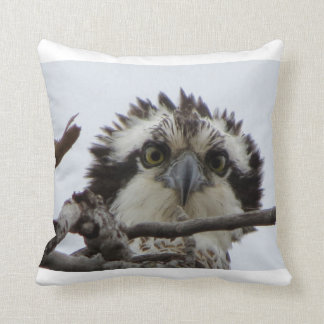 Coussin Carreau de photo de balbuzard de l'Adirondacks