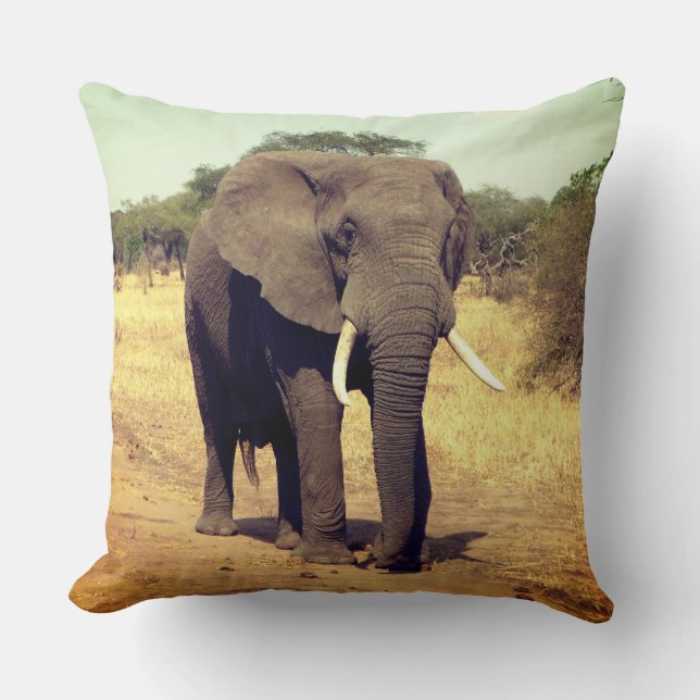 Coussin Carreau décoratif d'accent d'éléphant (Recto)