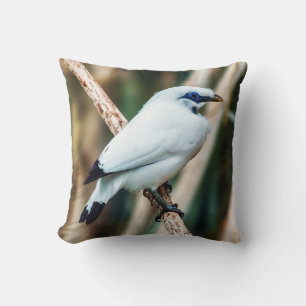 Coussin Carreau d'oiseau de Bali Myna
