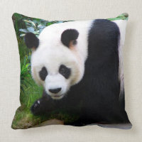 Carreau d'ours panda